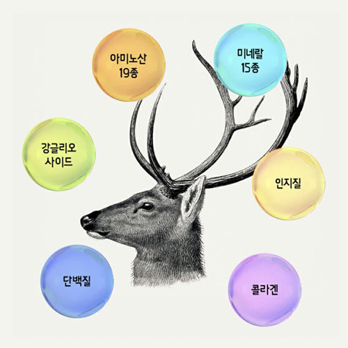 일진 헬스케어 더 로얄 알부민 진액